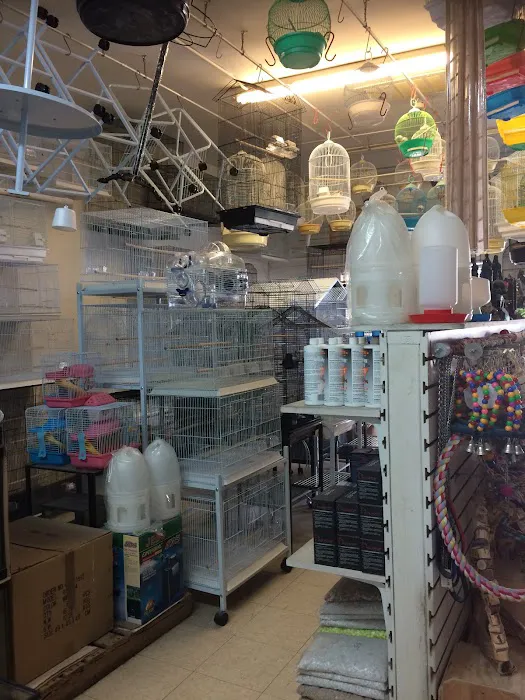 King Pet Shop Picture 3