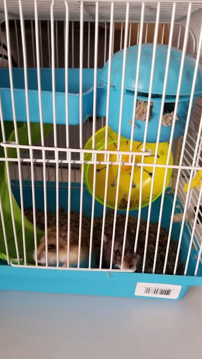 Pet Shop JC Gomez Picture 2