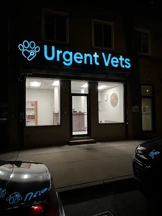 IAC Urgent Vets - Bronx Wellness and Urgent Care Animal Hospital Picture 8