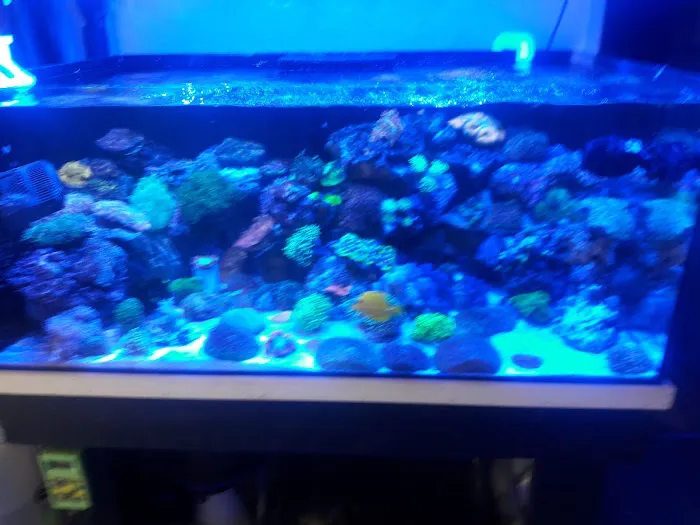 Total Fish & Pets Picture 9