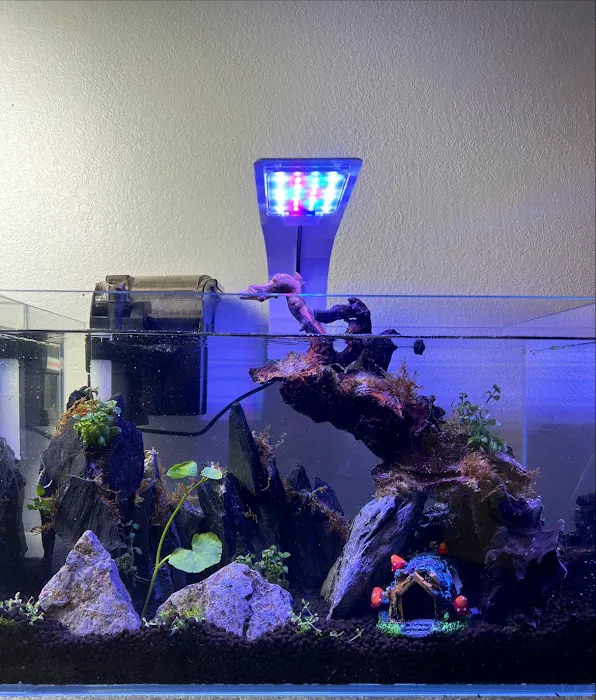 Total Fish & Pets Picture 2