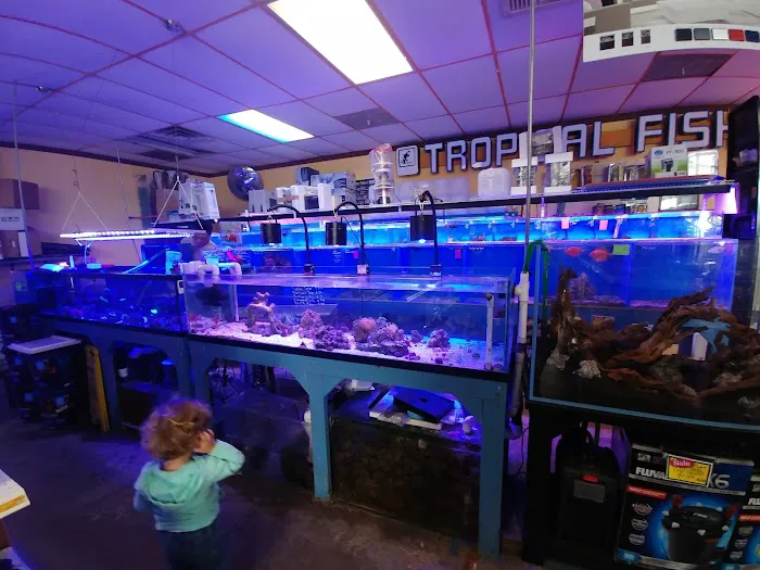 Total Fish & Pets Picture 4