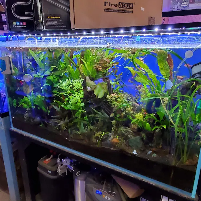 Total Fish & Pets Picture 6