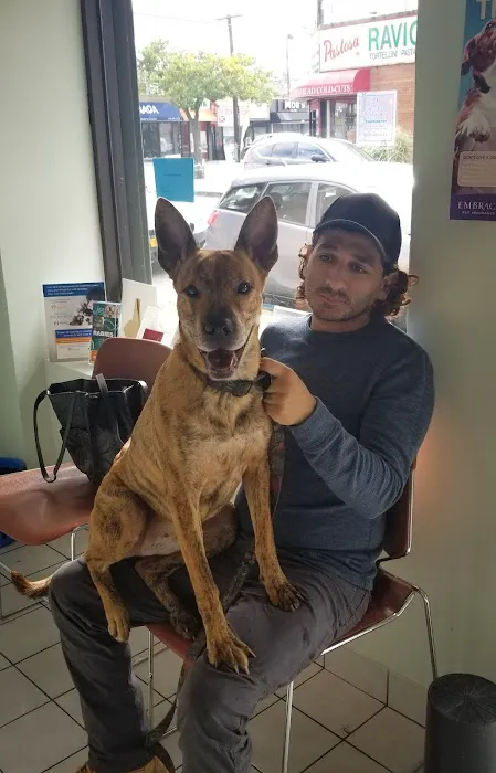 Throgs Neck animal hospital Picture 1
