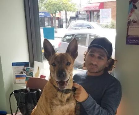 Throgs Neck animal hospital