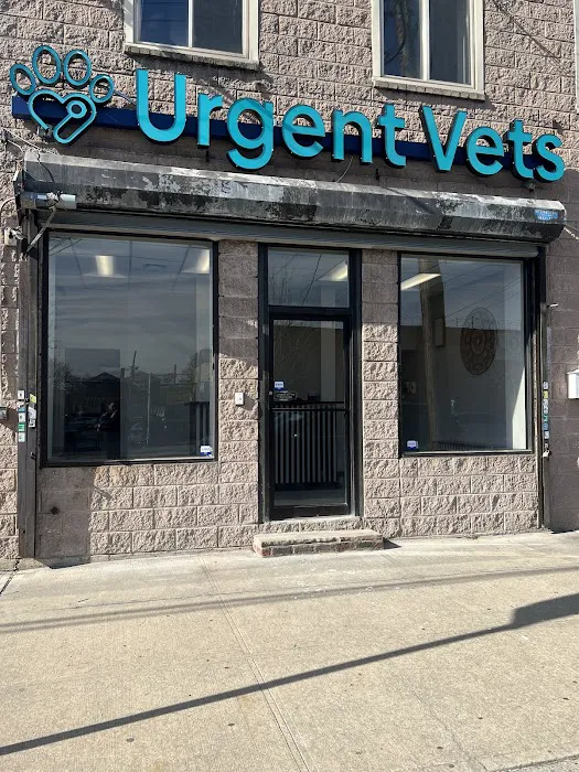 Throgs Neck animal hospital Picture 8