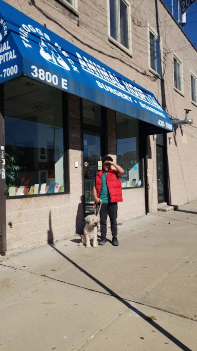 Throgs Neck animal hospital Picture 9