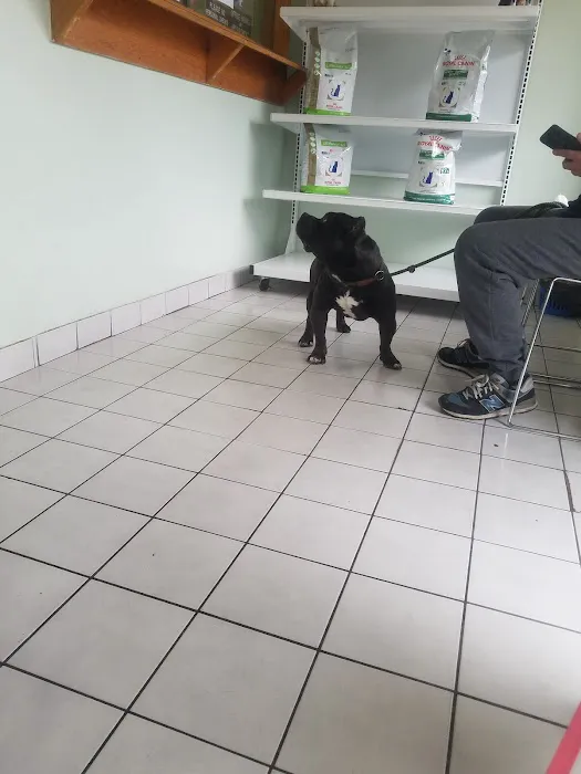 Throgs Neck animal hospital Picture 3