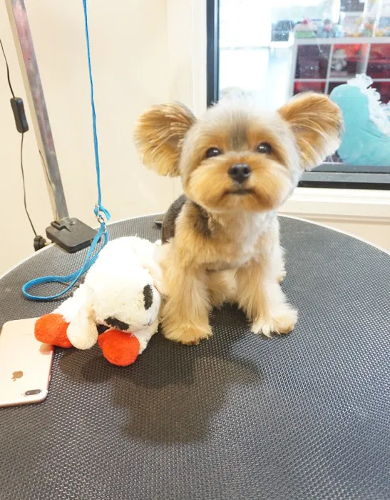 Happy Pet Picture 7