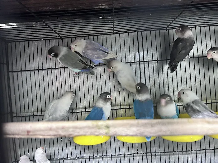 PET ZONE Picture 2