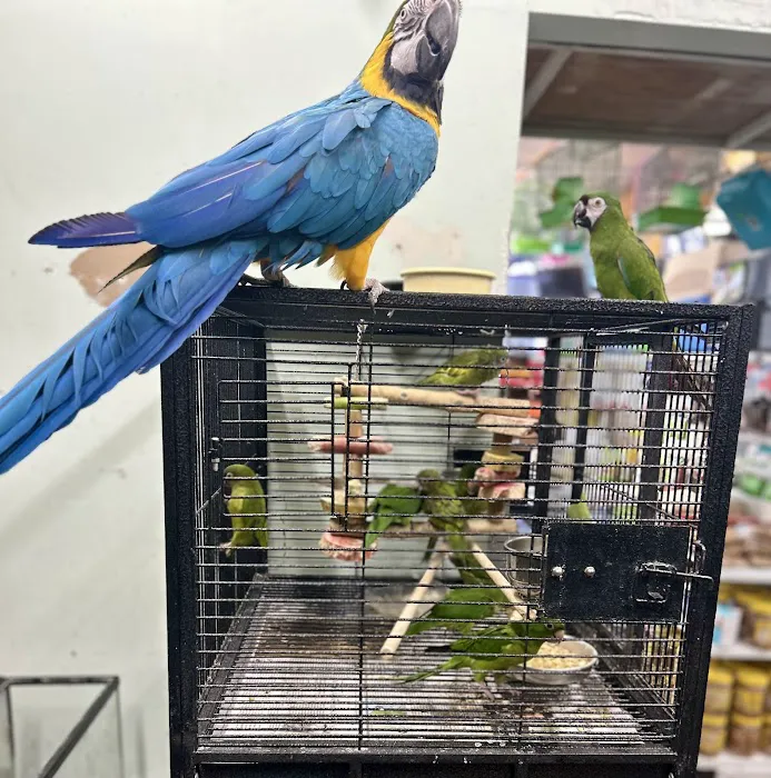 PET ZONE Picture 6