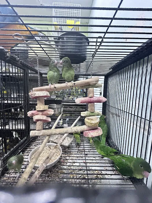 PET ZONE Picture 7