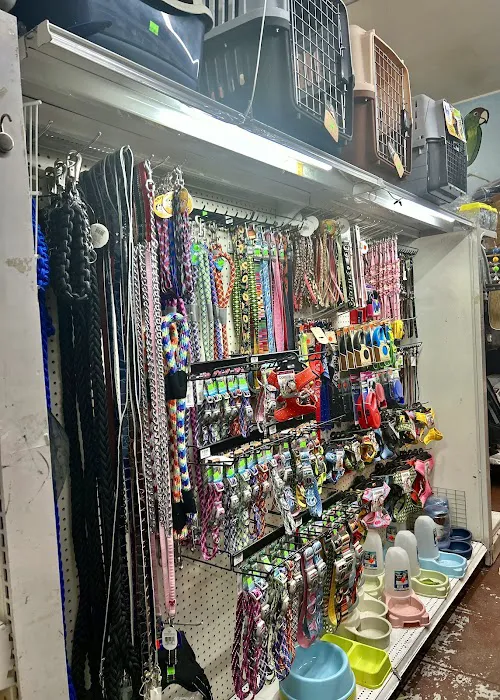 PET ZONE Picture 10
