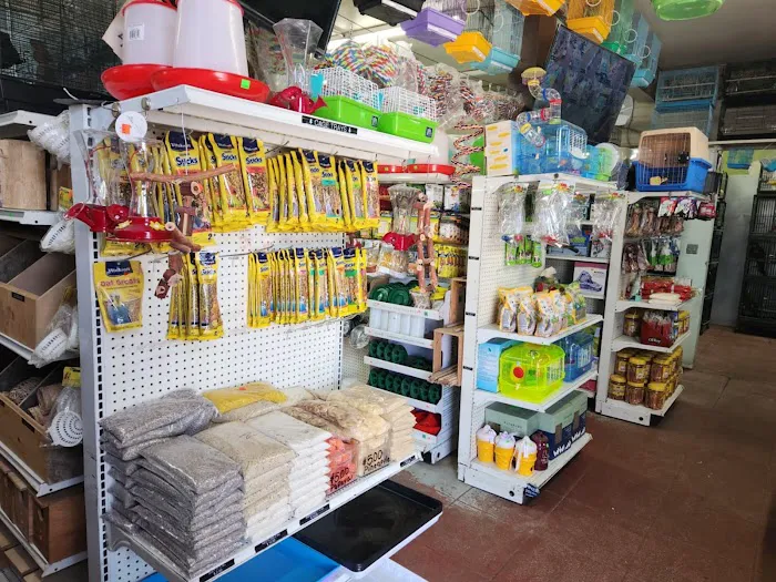 PET ZONE Picture 4