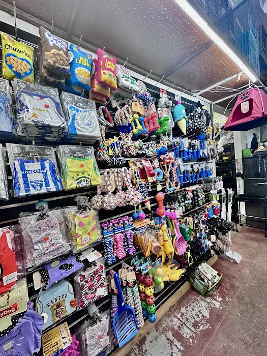 PET ZONE Picture 3