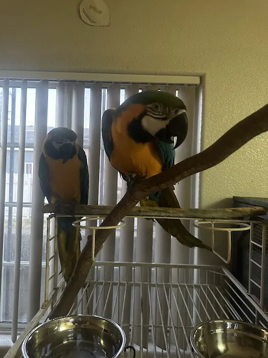 PET ZONE Picture 9