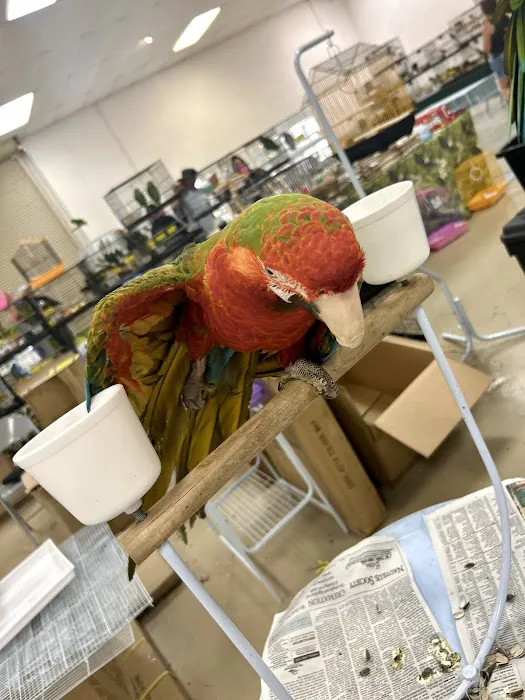 PET ZONE Picture 8