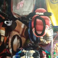 The Mexican Pet Shop ico