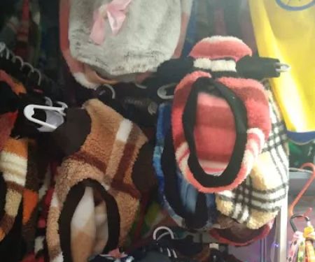 The Mexican Pet Shop