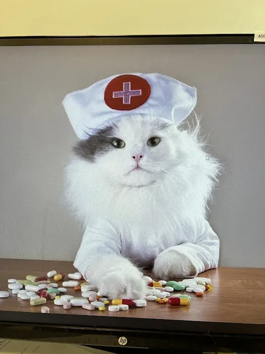 One Love Animal Hospital - Yorkville Picture 5