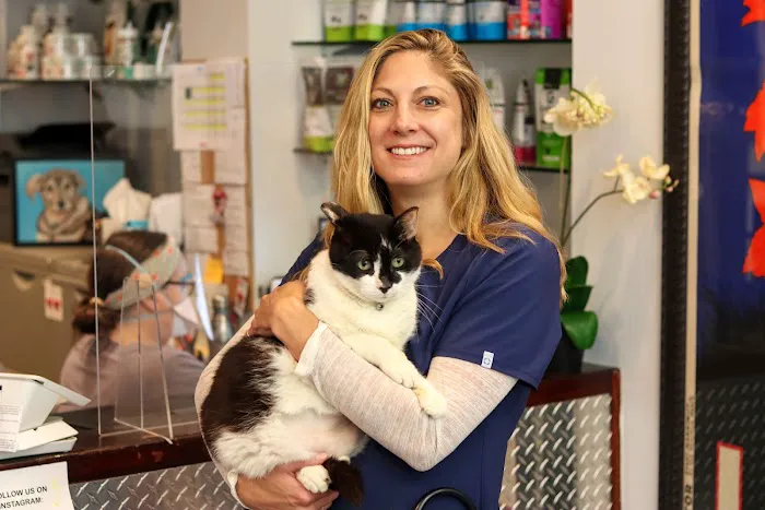 One Love Animal Hospital - Yorkville Picture 6