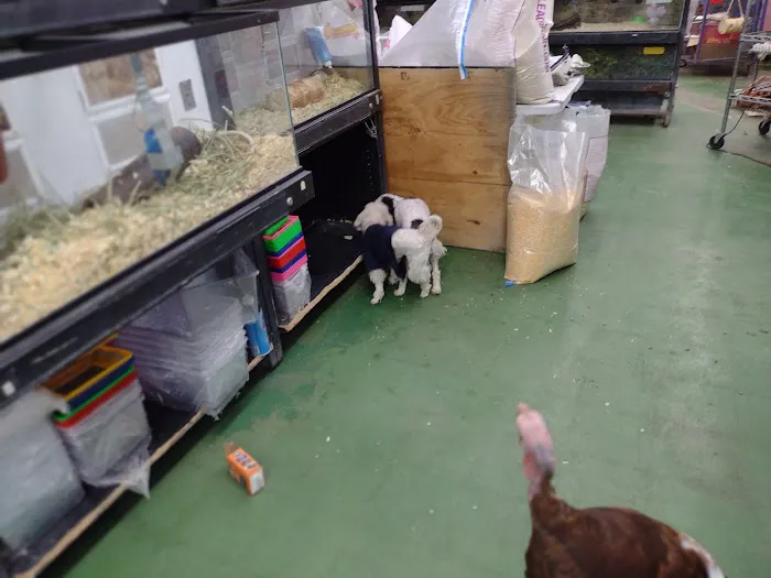 Pet Care Inc. Picture 1