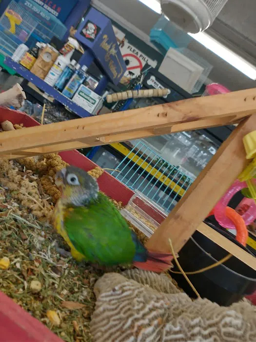 Pet Care Inc. Picture 3