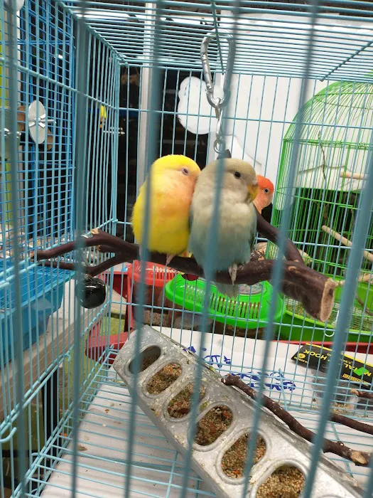 Pet Care Inc. Picture 4