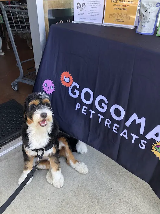 Gogoma Pet Treats Picture 2