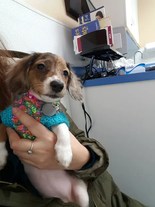 Manhattan Veterinary Group Picture 2