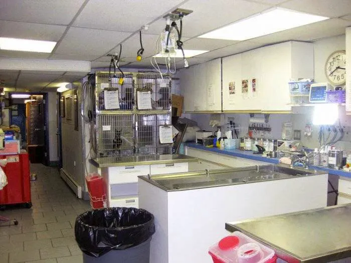 Manhattan Veterinary Group Picture 9