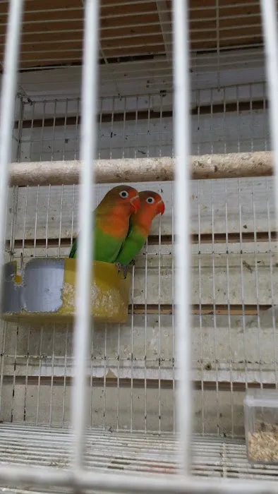Villa's Pet Shop Picture 7