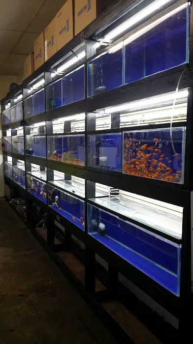 Villa's Pet Shop Picture 10