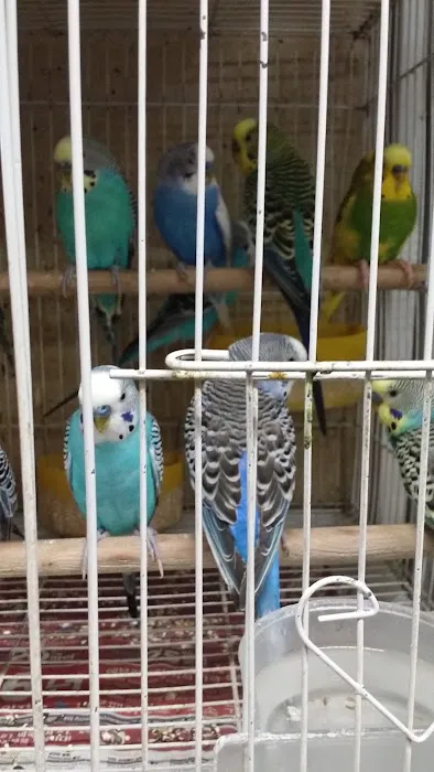 Villa's Pet Shop Picture 4