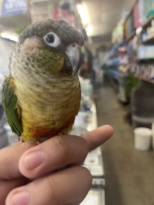 Villa's Pet Shop Picture 2
