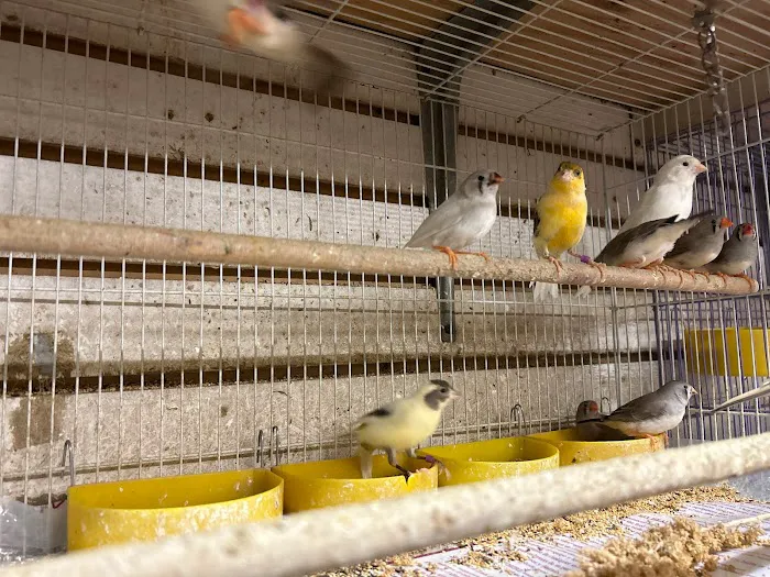 Villa's Pet Shop Picture 9