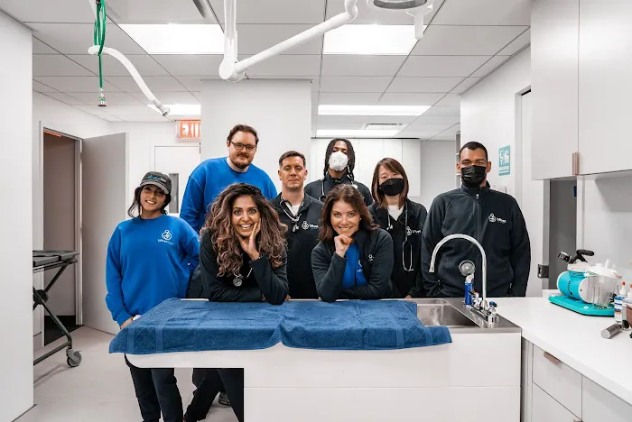 URvet Care Upper East Side (Midtown Medical Center is Open 24/7) Picture 10
