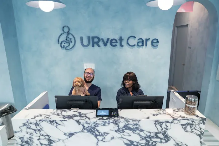 URvet Care Upper East Side (Midtown Medical Center is Open 24/7) Picture 2