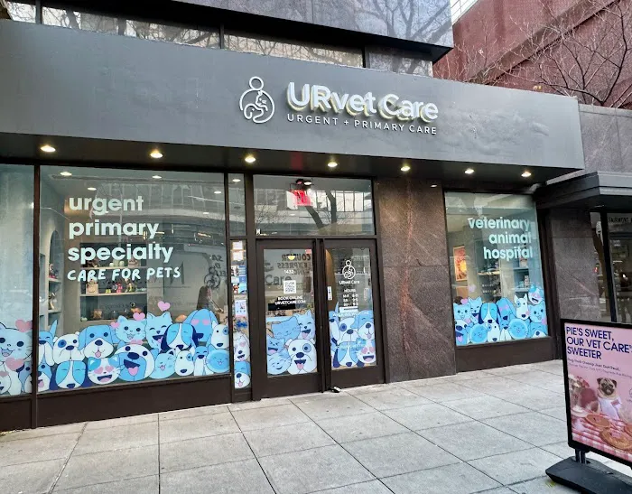 URvet Care Upper East Side (Midtown Medical Center is Open 24/7) Picture 4
