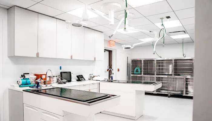 URvet Care Upper East Side (Midtown Medical Center is Open 24/7) Picture 1