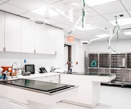 URvet Care Upper East Side (Midtown Medical Center is Open 24/7)