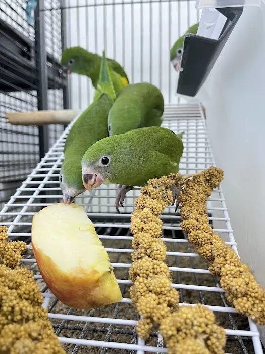 Feathers And Friends Exotics Picture 2