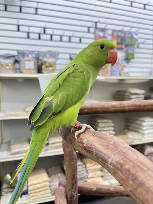 Feathers And Friends Exotics Picture 8