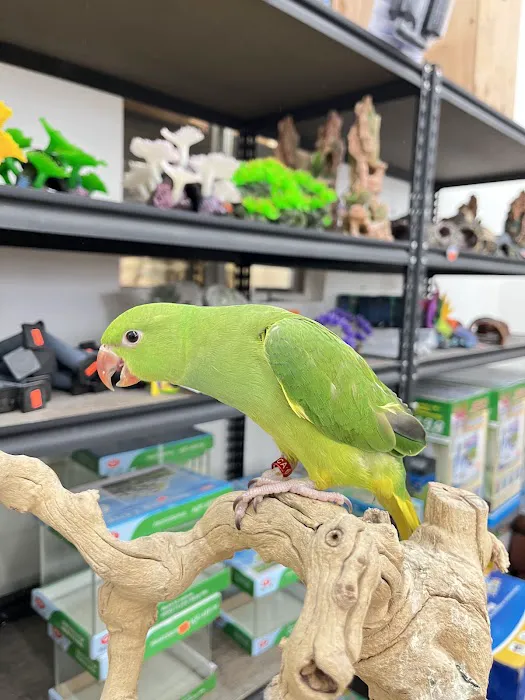 Feathers And Friends Exotics Picture 4