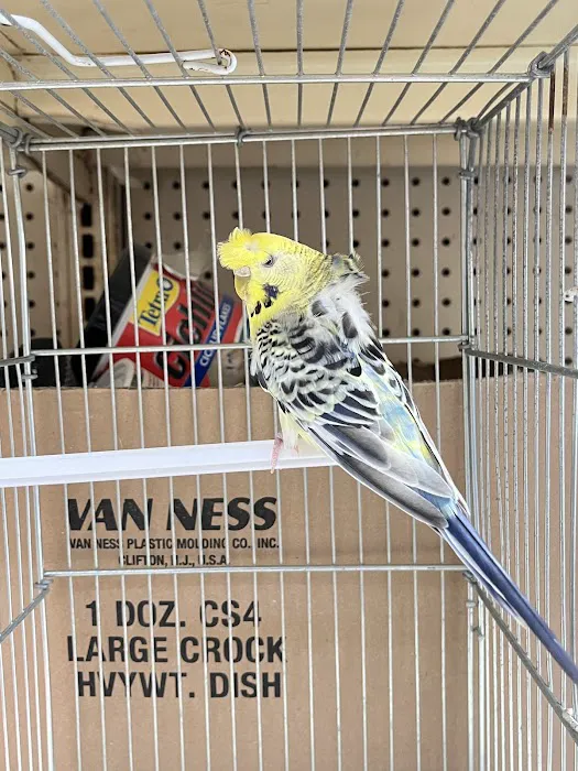 Feathers And Friends Exotics Picture 7