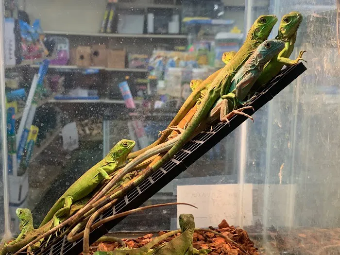 Fin-Tastic Tropical Fish & Pet Store L.A. Picture 8