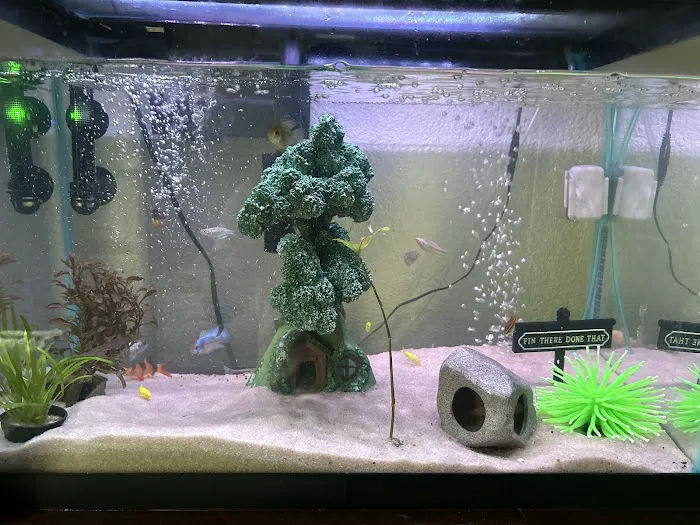 Fin-Tastic Tropical Fish & Pet Store L.A. Picture 5