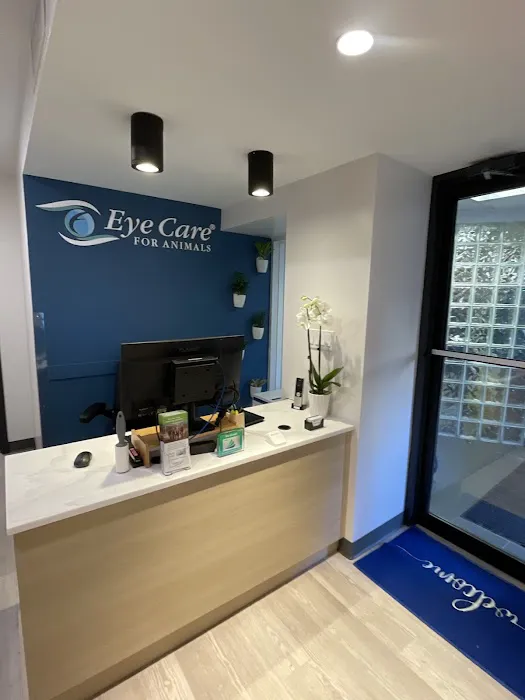 Eye Care for Animals - NYC Picture 10
