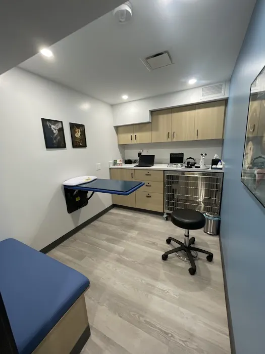 Eye Care for Animals - NYC Picture 1