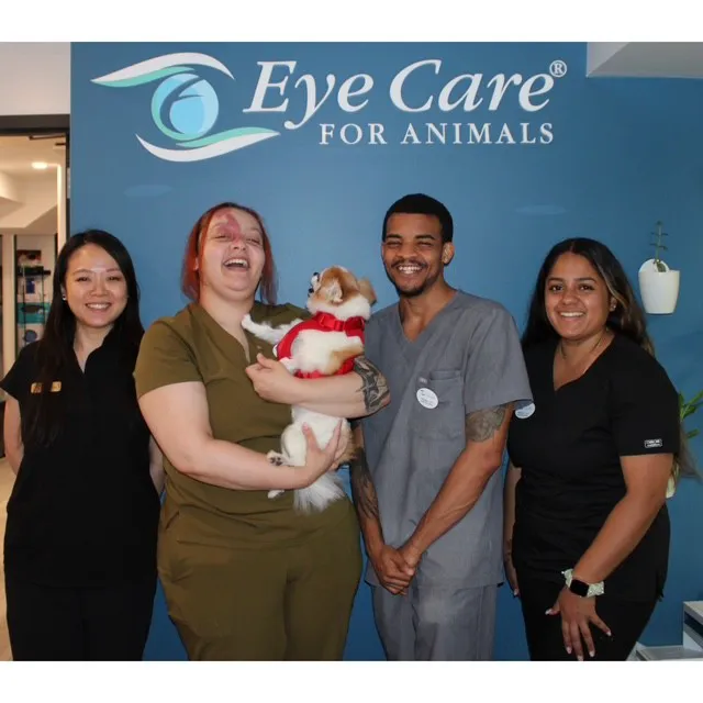 Eye Care for Animals - NYC Picture 7